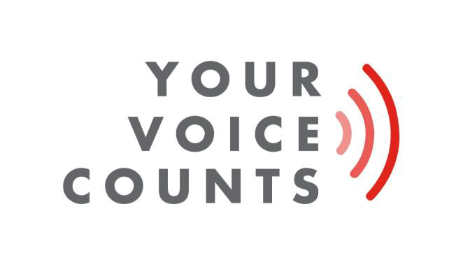 Survey page header logo text description